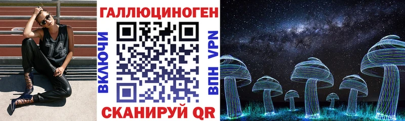 Псилоцибиновые грибы Cubensis  Белая Холуница 